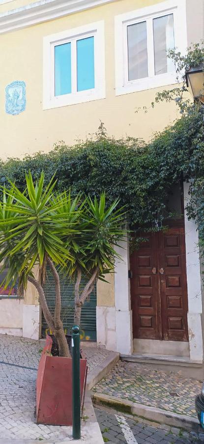 New Charming Flat - Lisbon Center Apartment Екстериор снимка